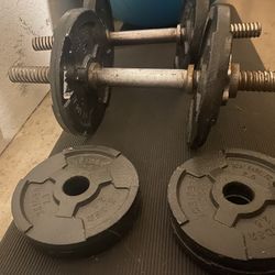 Barbell Weight And Add Weights
