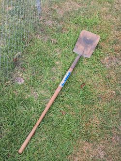 Flat headed shovel