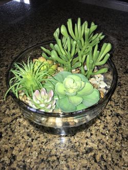 Succulent bowl new with tags 20”