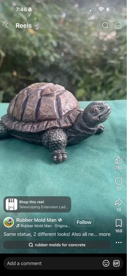 Cement Turtle garden
