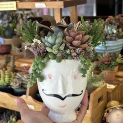 Oooooo La La Succulent Arrangement 