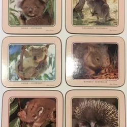 Steve Parrish Australian 6 Coaster Collection Inspired By Nature NEW