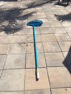 Extendable pool net