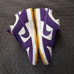 Nike Sb Dunk Court purple  