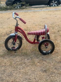 Schwinn lil sting ray