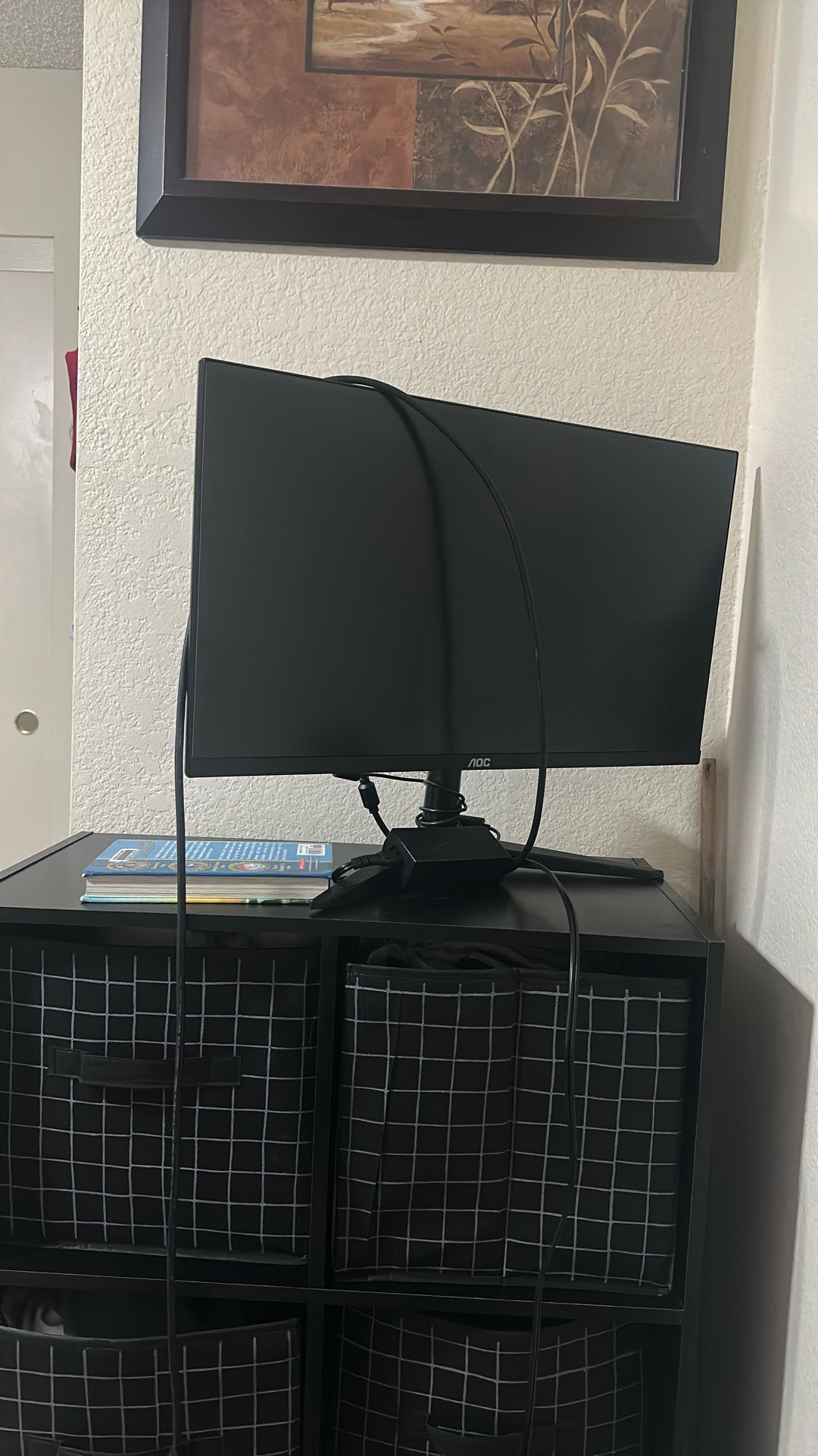 Computer Monitor