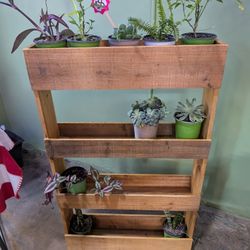 Wooden Frame Wall Plant
