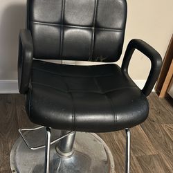 Salon Chair and Portable Wash bowl 