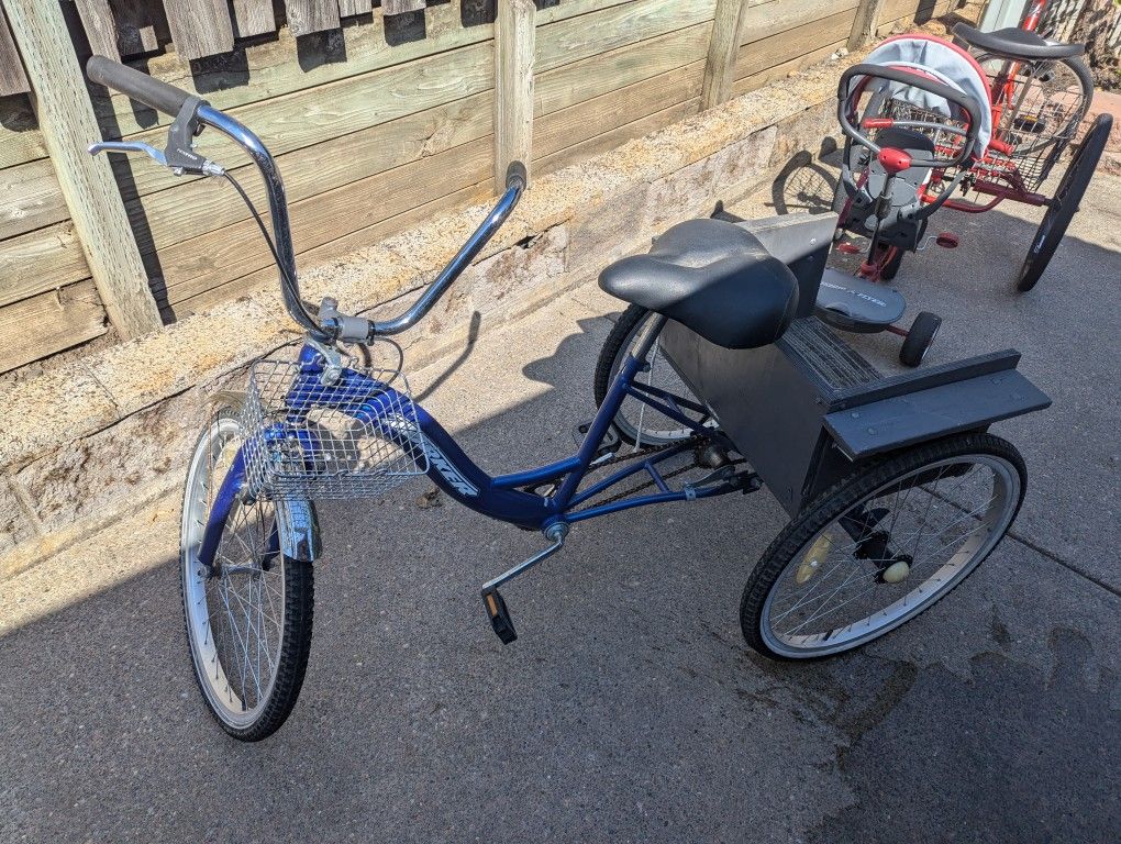 Adult Tricycle