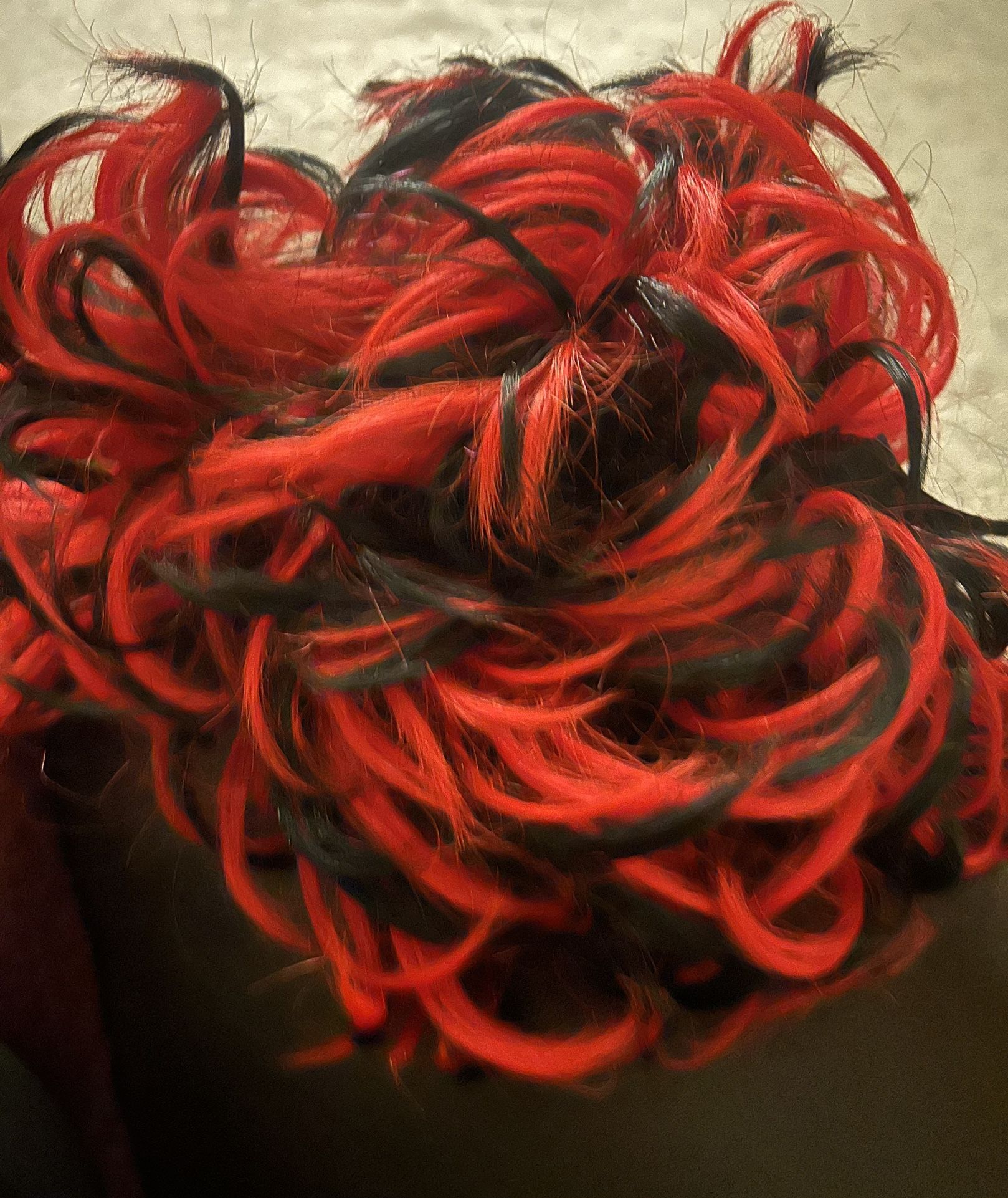 Wig