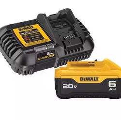 Dewalt Battery With Charger