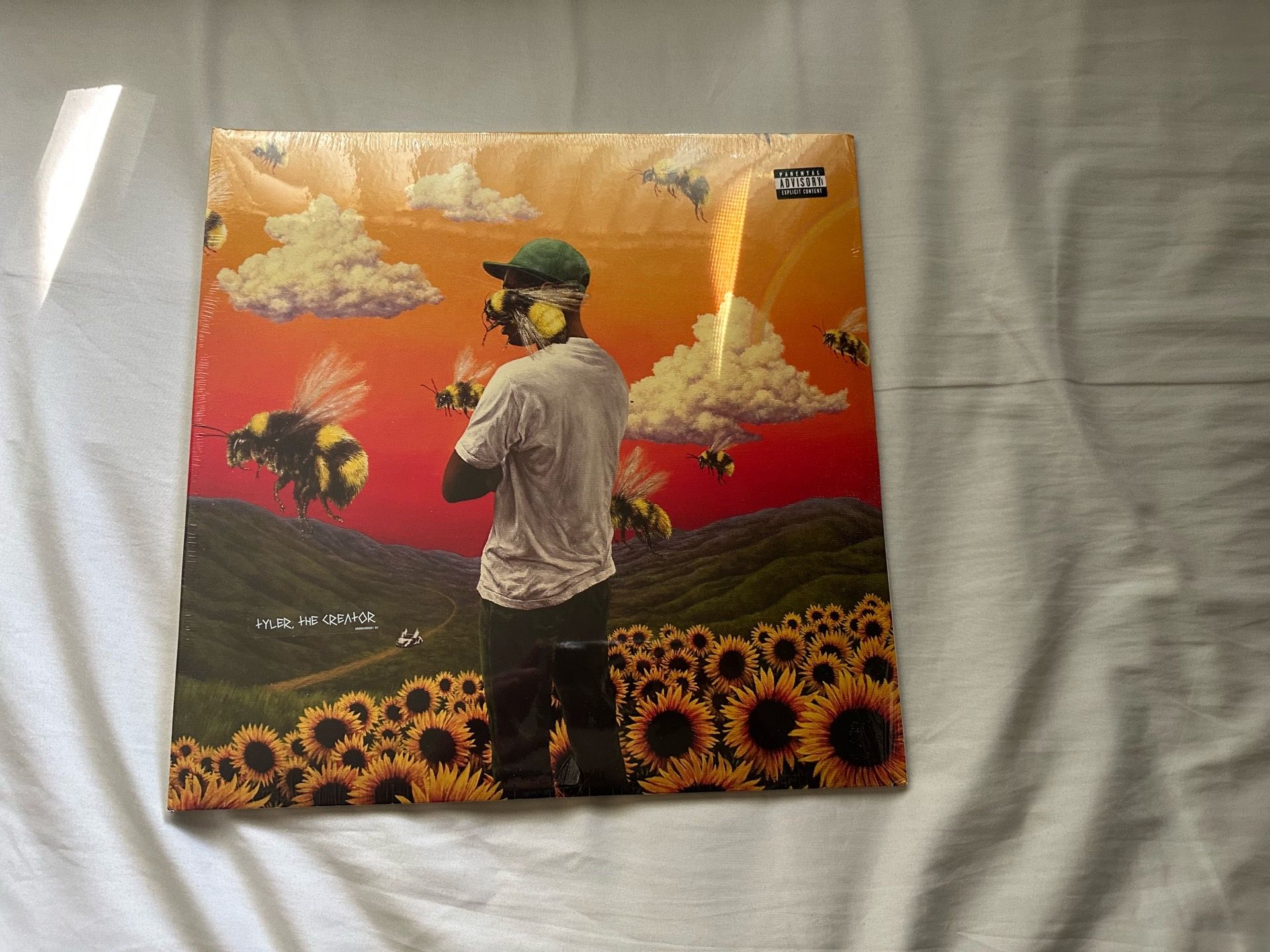 Tyler the Creator Flower Boy vynl