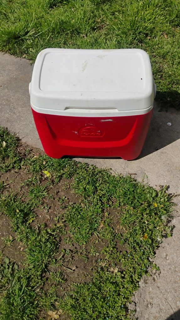 Igloo Cooler