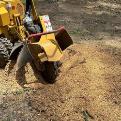 Stump Grinding 