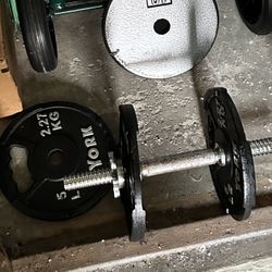 Dumbbell With 25 Pounds Of Weights 