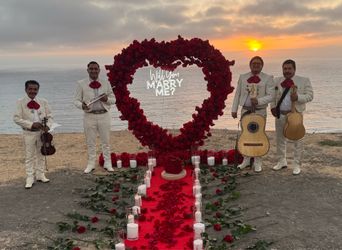 Mariachi Guitar