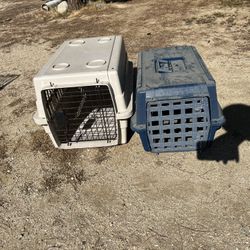2 Small Dog Kennels 