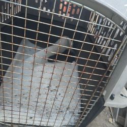 Free cage not included