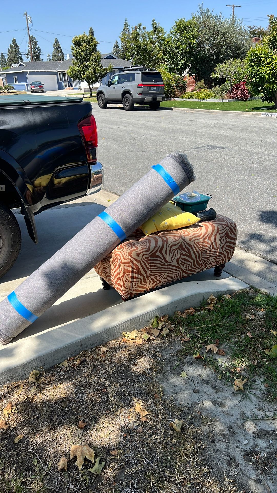 FREE Rug, Ottoman