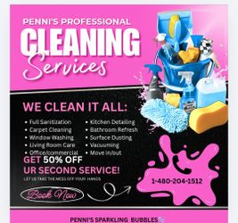 Professional Cleaning