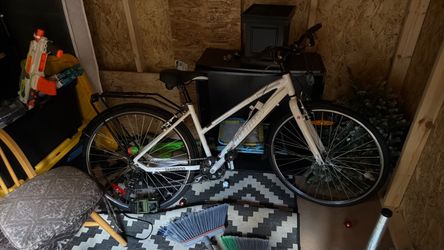 Bike ladies