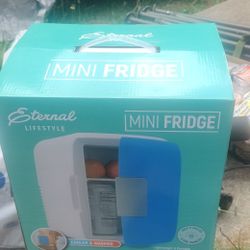 Mini Fridge Ac/Dc