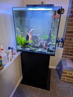 Fish Tank