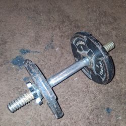 1 10 pound Dumbell