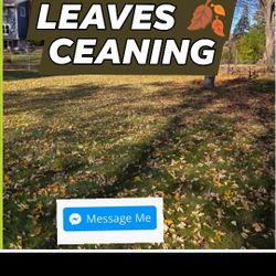 LEAVES 🍂 CEANING 