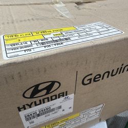 Hyundai Catelic Converter