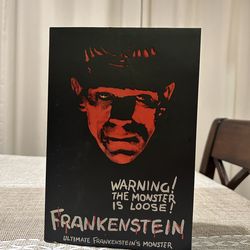 NECA Frankenstein Frankenstein Figure