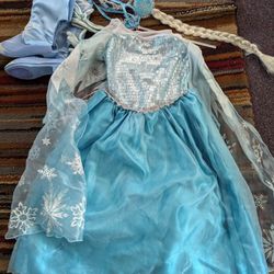 Frozen Dress And Accesories
