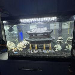 Fish Tank