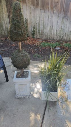 2 large artificial plants