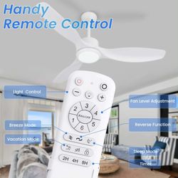 Ceiling fan