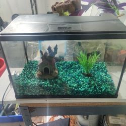 Fish Tank Used 5 Gallons 