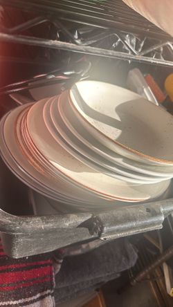 Dinner plates