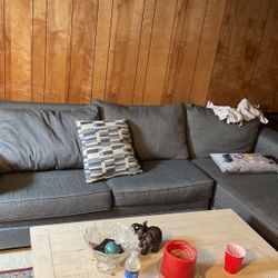 Need Couch Gone Asap 