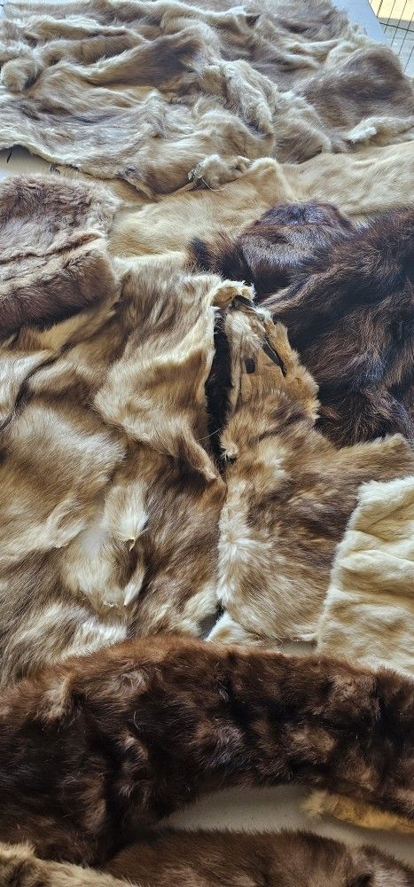 Real Fur.. A Variety