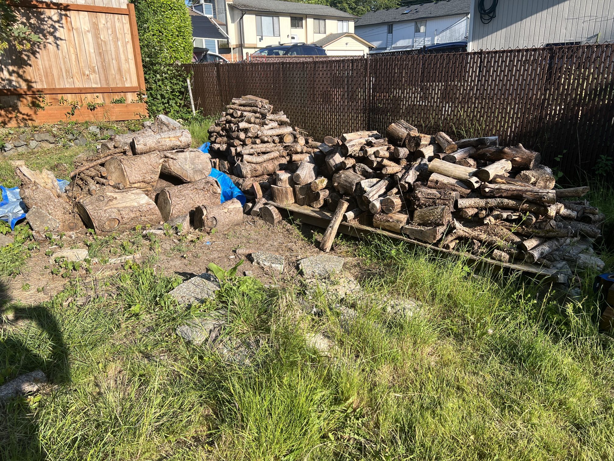 Dried And Cured Stack Of Wood