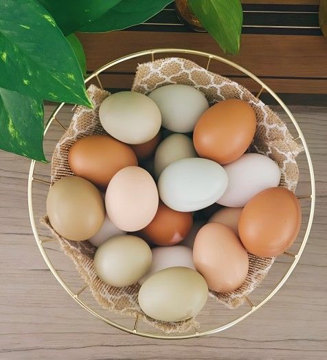 Fresh Backyard Chicken Egg Basket- Organic Fed - Tempe