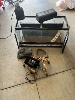 25 Gallon Reptile, Terrain with Accessories