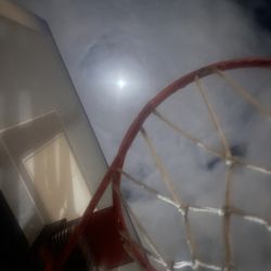 (Lifetime) Basketball Hoop.