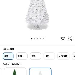 Brand New Tree In The Box