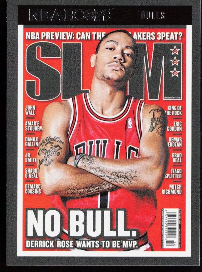 Derrick Rose Slam NBA Hoops