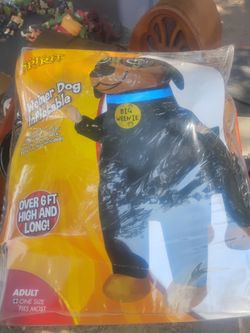 Weiner dog inflatable