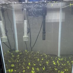 Fish Tank With Everything 