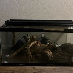 Reptile Tank