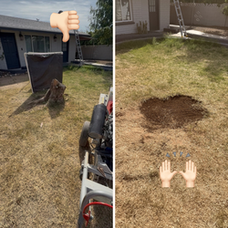 Stump grind & tree remov*