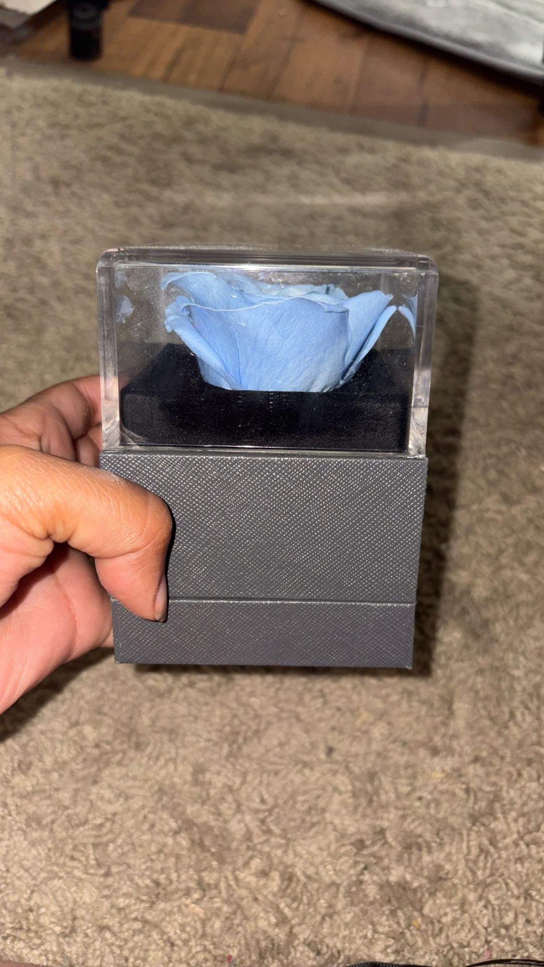 Empty Rose Gift Box